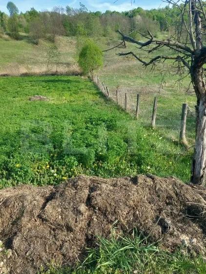 Teren intravilan/extravilan - 3