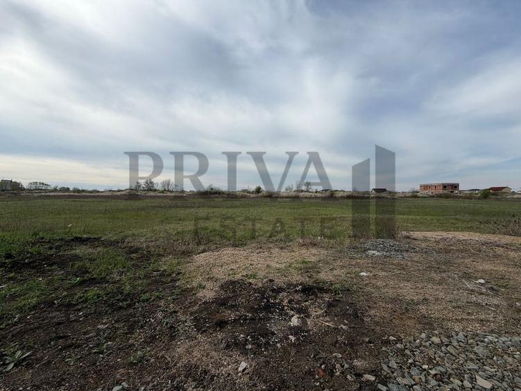 Teren intravilan, 838 mp, fs 19 mp, Mosnita Veche - 1