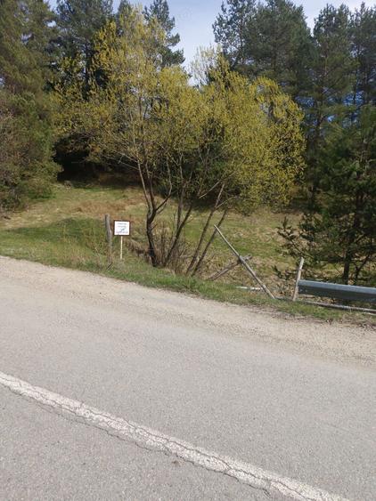 Vand teren extravilan Brebu Nou, jud Caras Severin. - 2