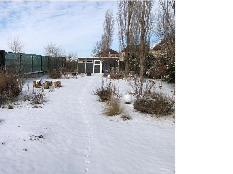 Reședință exclusivistă cu piscină, grădină matură și intimitate deplină - 9