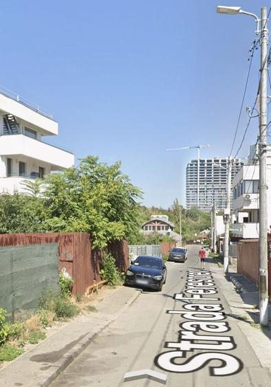 Lacul Tei-Petricani - 3