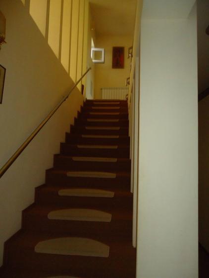 Vila piscina superba gradina matura cu iesire directa la padure - 42