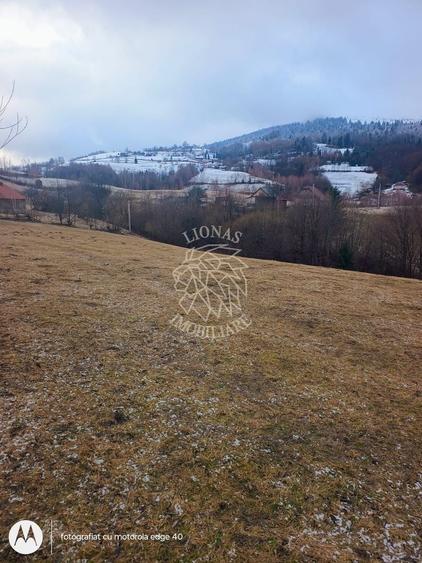 COMISION 0 TEREN TURISTIC EXTRAVILAN APROAPE DE PADURE SACUIEU VLADEASA CLUJ - 1