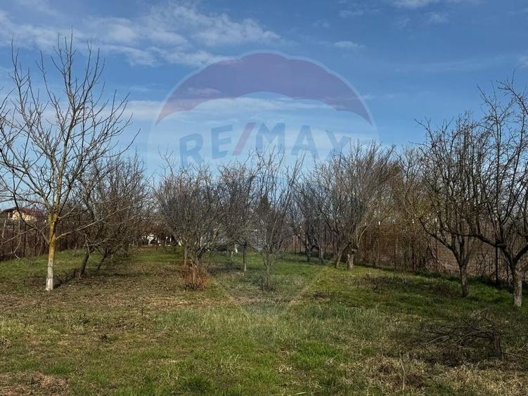 Casa de vanzare cu livada si piscina - Giurgiu - 10