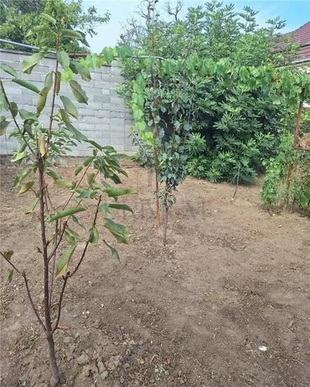 Apartament 1 camera-Centrala-Elisabetin-Curte - 5