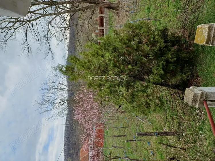 Inchiriez 46ha in Mehedin?i Inchiriez 46ha in Mehedin?i