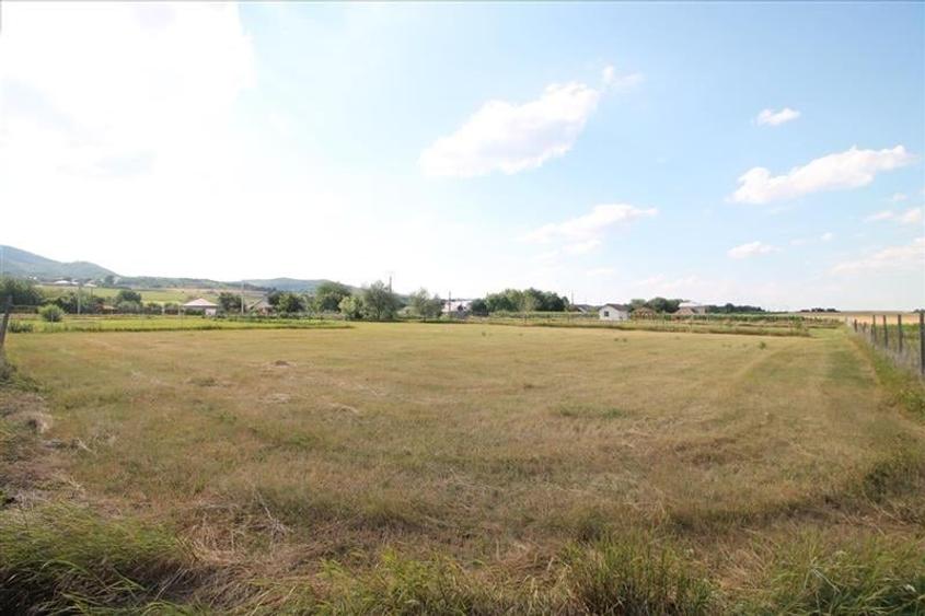 Teren 3000 mp intravilan - Sarata - 7