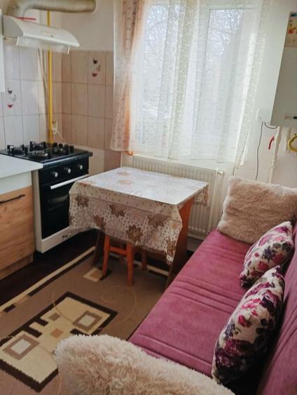 Vand garsoniera in Berca - 4