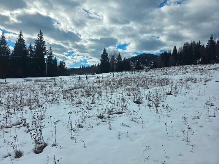 Teren intravilan 15.000 mp cu panorama montana | 1 km Parcul Calimani Pret neg - 3