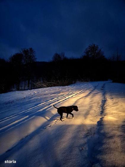 Teren 5000 mp extravilan Sinca Noua - 8