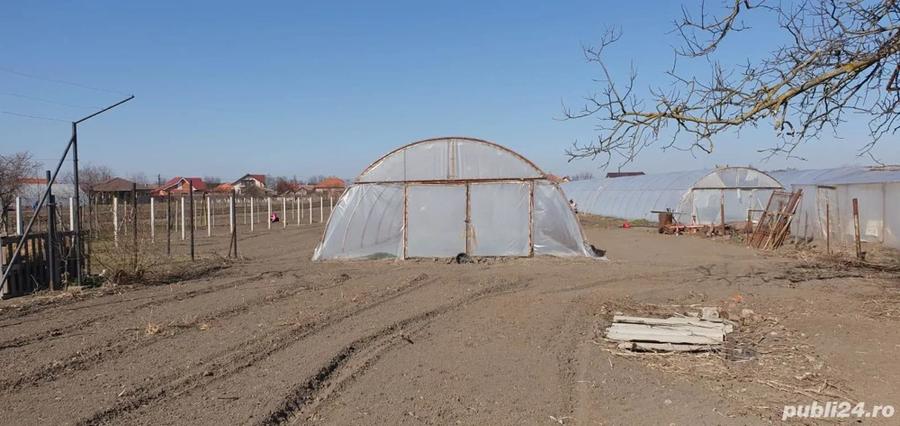 Proprietate P+2 cu teren, oportunitate de investi?ie - 4