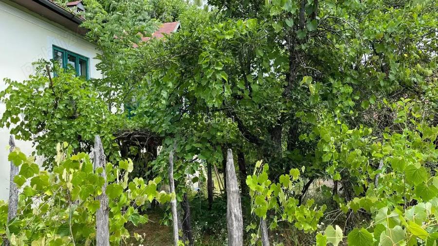 Casa la tara judetul valcea