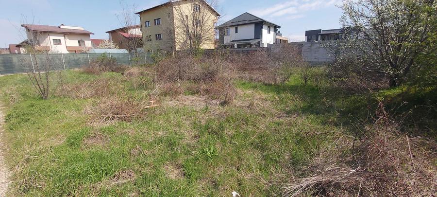 Teren intravilan, 850 mp in str Capricornului, Domnesti, Ilfov - 2