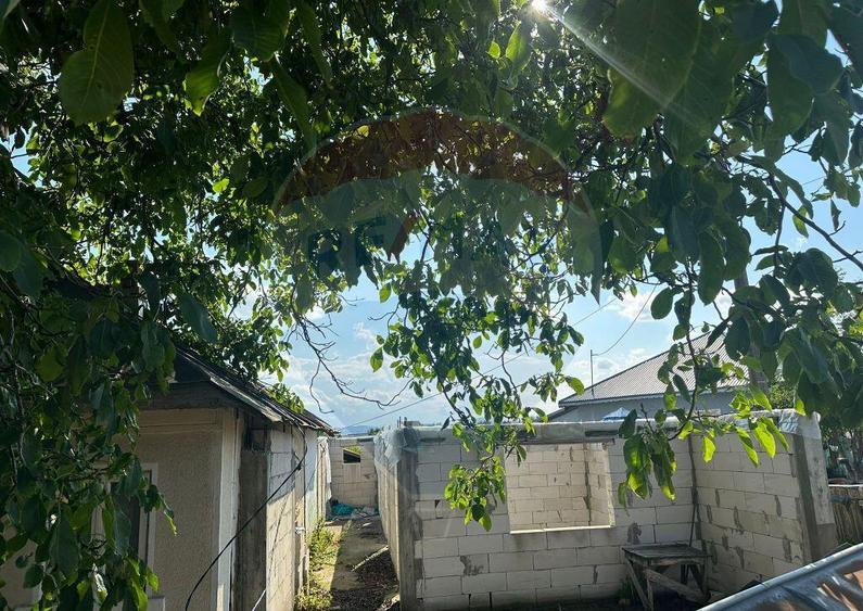 Teren intravilan 3.765 mp cu casa Bode?ti de Jos - 7