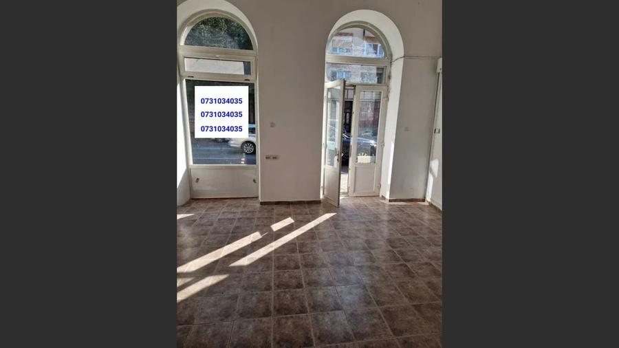 Spatiu comercial cu potential ridicat - 9