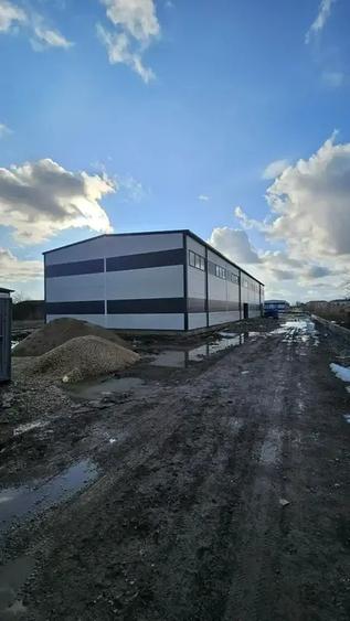 Hale Noi De Inchiriat | Chitila | Iesire direct In Centura - 6