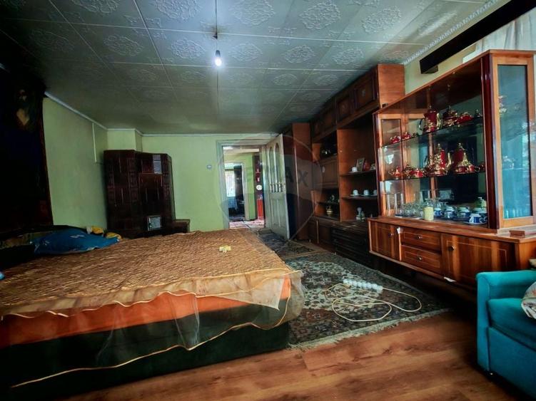 Casa ultracentral in Saliste cu un teren generos de 1757 mp - 8