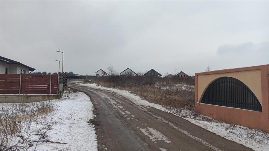 Visan str Dealul Craitelor TEREN 6383mp  si 4217mp utilitati  si transport in co - 1