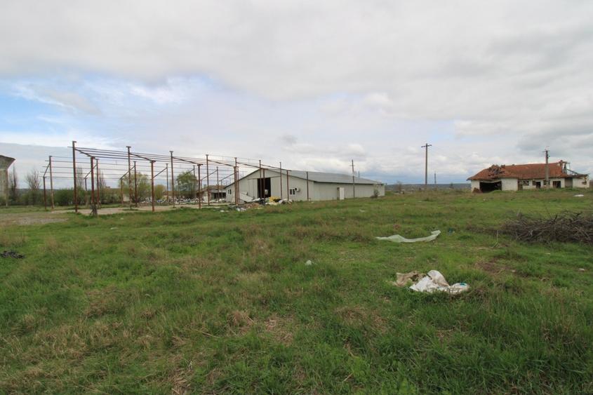 Hala in Foltesti - 4