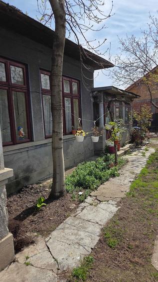 Casa de vanzare GR ultracentrala Str. Cerbului - 3