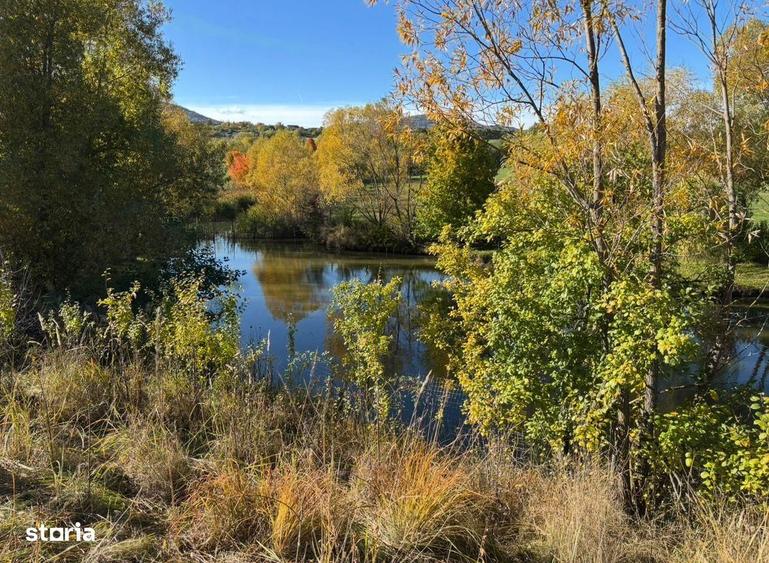 Teren de vanzare - Agapia, Neamt - 3