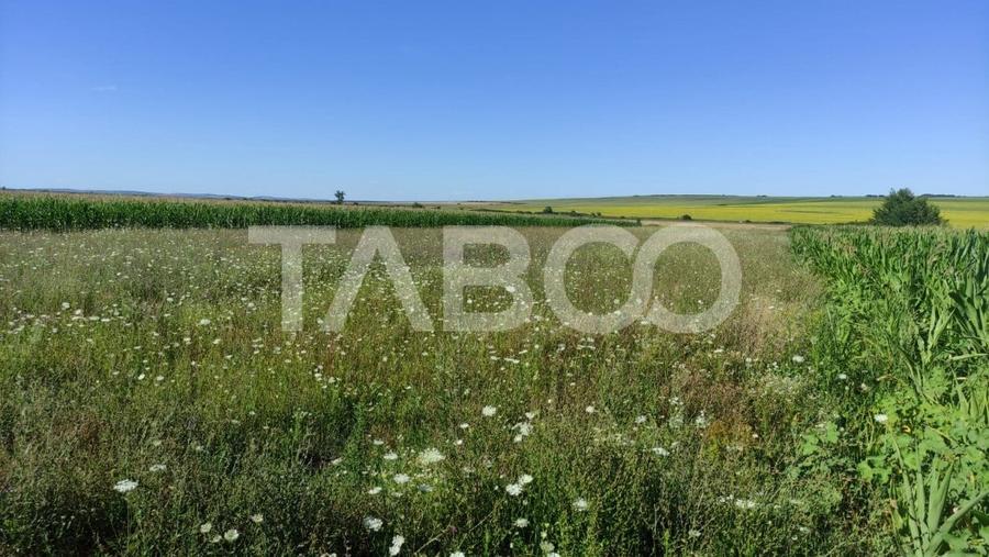 Teren extravilan de vanzare 25920 mp in Sura Mica Sibiu - 5