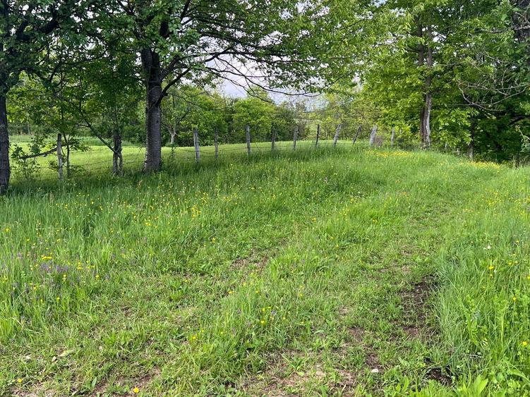 Vand teren intravilan loc.Hartagani HD - 2