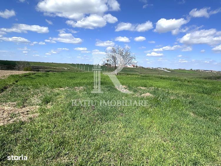 Teren intravilan | Les | Bihor - 3