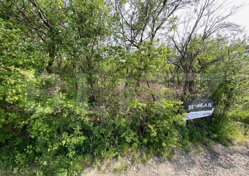 Teren zona Episcopiei - 8