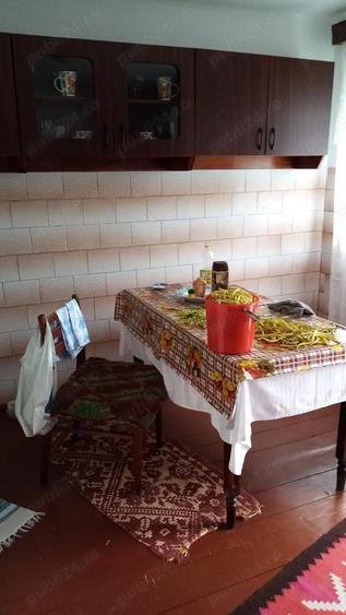 Casa de vanzare munte 90.000 - 1