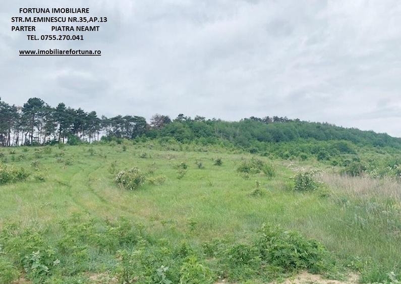 Teren zona Pietricica, cadru natural superb - 1