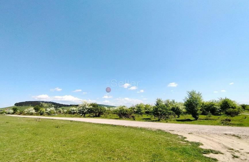 Teren Intravilan - 7