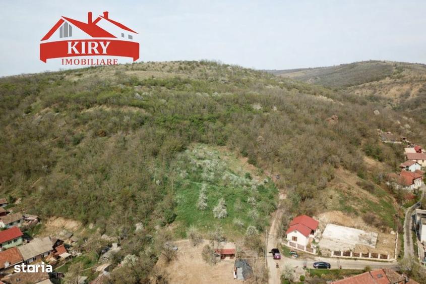 Teren pentru cariera Lipova 9,2 ha concesiune + proprietate - 2