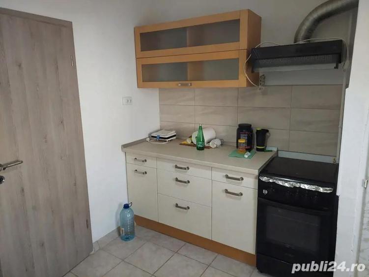 Apartament Buzias - 7