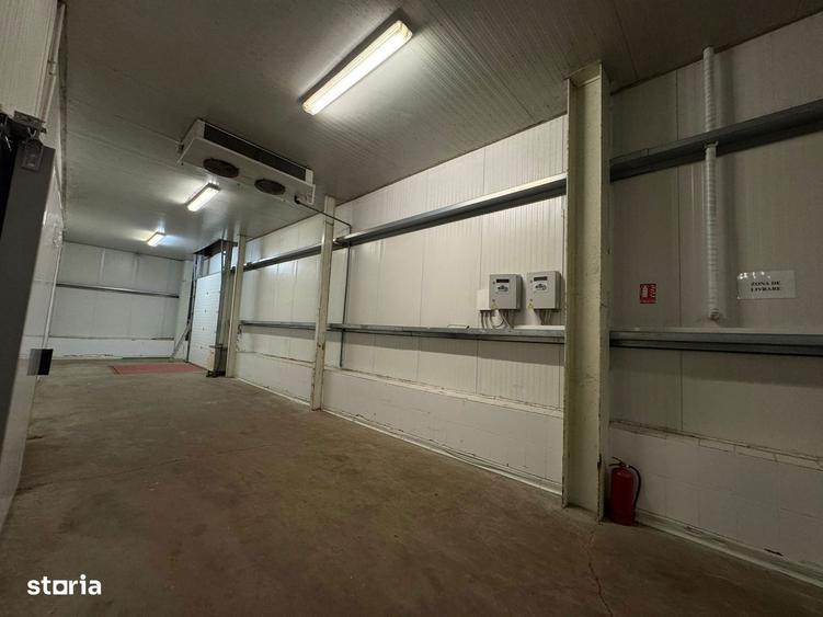 Hala productie/ depozitare frigorifica in Timisoara - 12