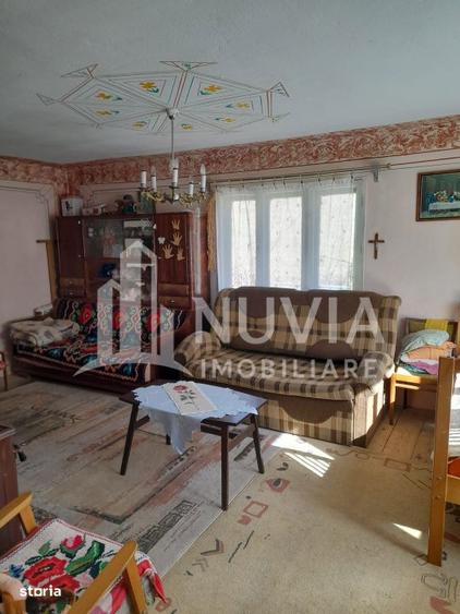 Corp de 2 case individuale, zona Intregalde, 130mp utili si 1035 mp te - 9