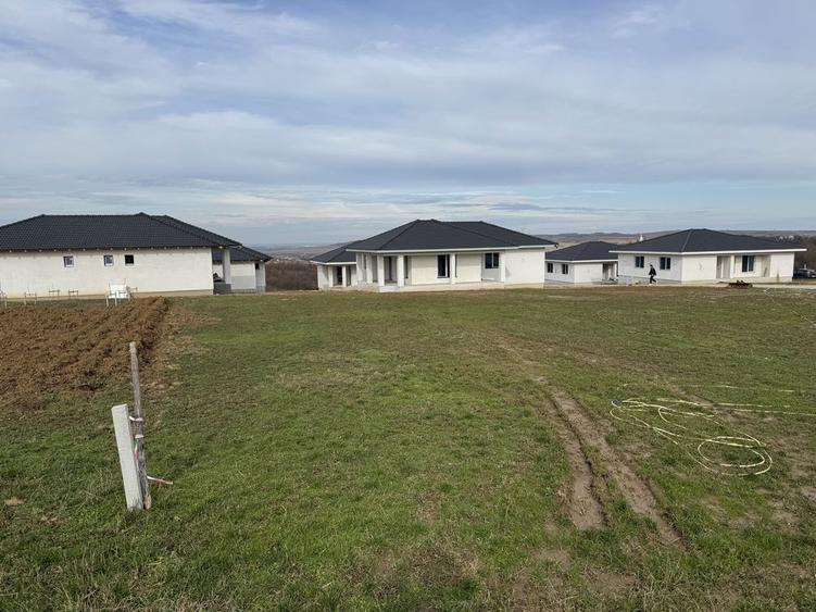 Teren str.Piersicilor Paleu - 6