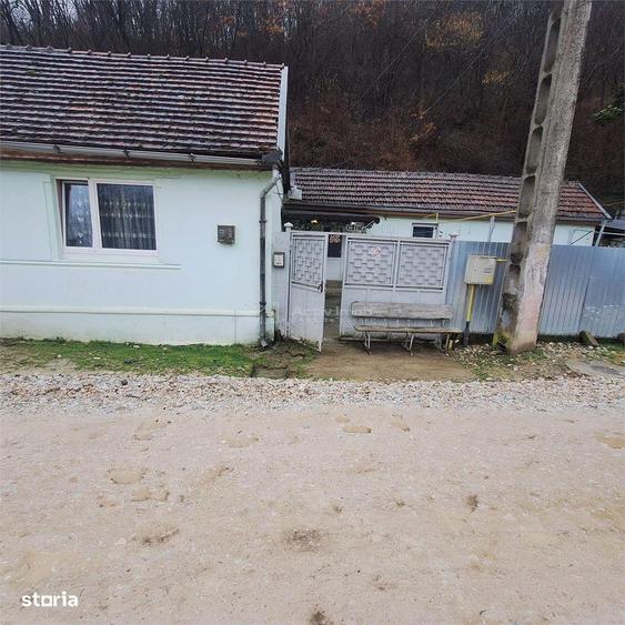 BOCSA Montana, Casa Cocheta cu curte . - 9