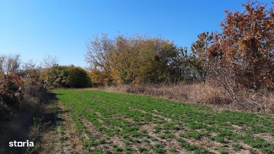 Vand proprietate in sat Brate?ti, com. ?irna, jud. Prahova - 5