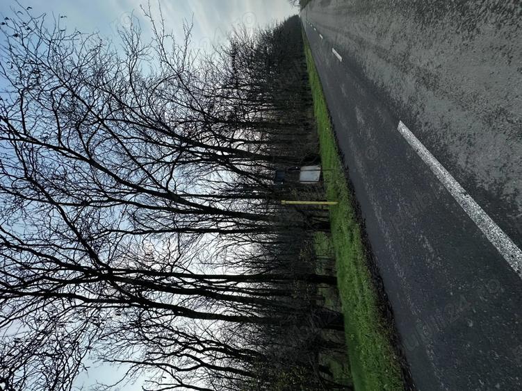 Casa de vanzare la padure - 1