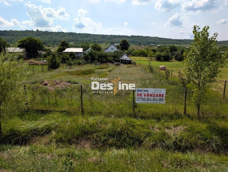 Ocazie - Casa individuala D+P+M 170 mp + 2400 mp teren cu IAZ la asfalt, Osoi - 2