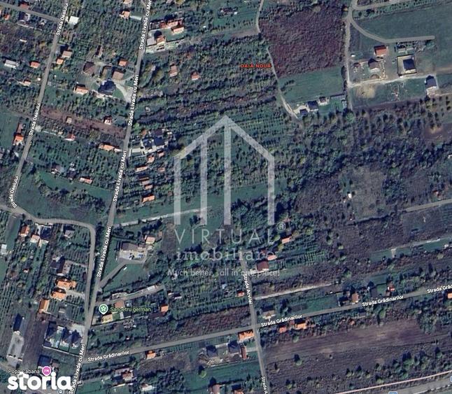 Teren intravilan de constructii - 277 mp - Daia Noua - 1