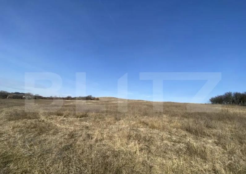 Teren extravilan in suprafata de 140551 mp in loc. Recea - 5