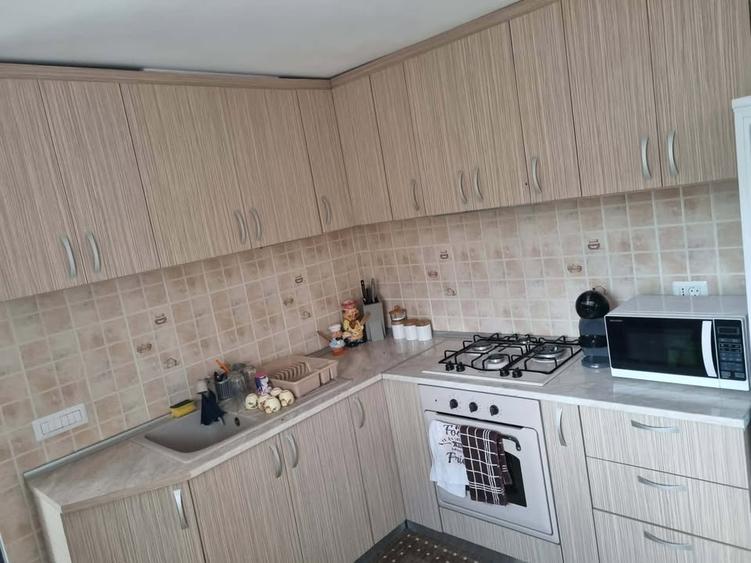 Casa spatioasa 250 mp2 utili + teren 1082 mp2 - 4