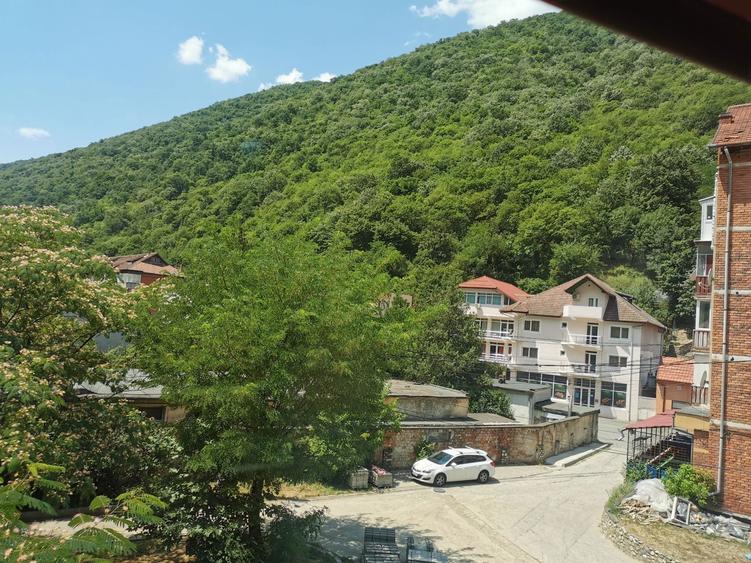 Garsoniera Herculane de inchiriat - 7