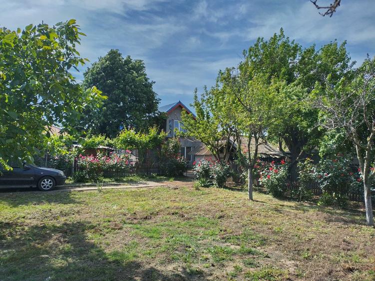 CASA DE VANZARE, P+M (2011) cu teren 1500mp DN2A - 8