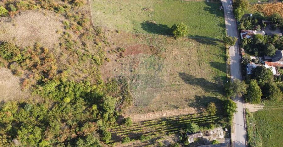 Teren Panciu ( Satul Nou ) Strada Progresului - 3