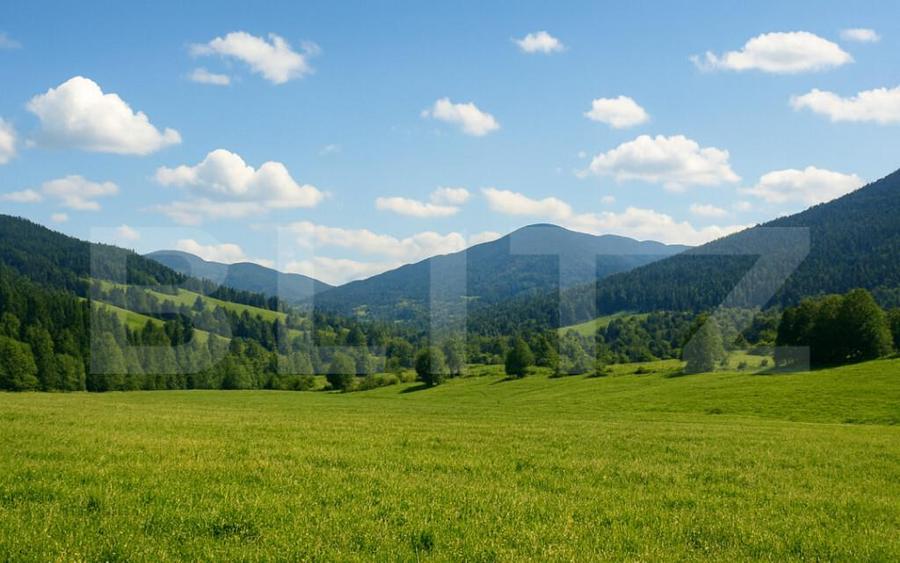 Teren intravilan de vanzare, 7.000 mp, Vatra Dornei - 1