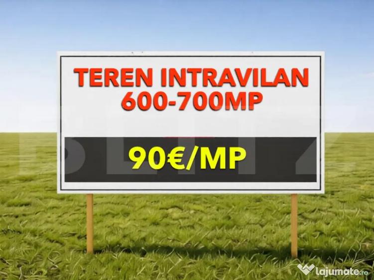 Teren intravilan 600700 mp cu utilita?i Mosnita Noua - 1