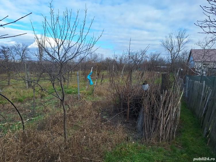 Casa batraneasca de vanzare in Orasul TECUCI - 7